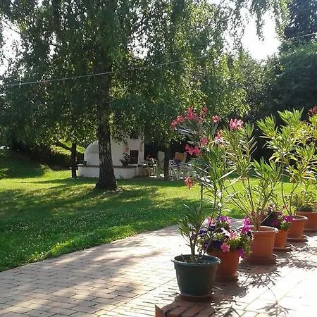 Sarkany Bio Panzio * Zalalövő