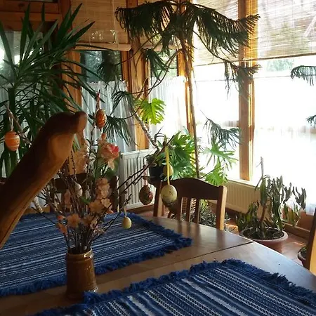 Apartahotel Sarkany Bio Panzio