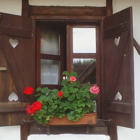 Sarkany Bio Panzio Zalalövő