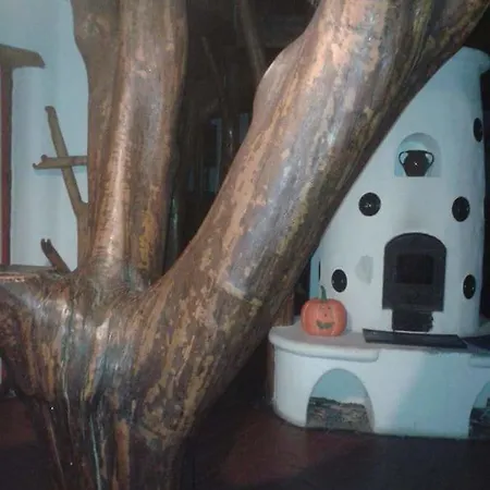 Sarkany Bio Panzio